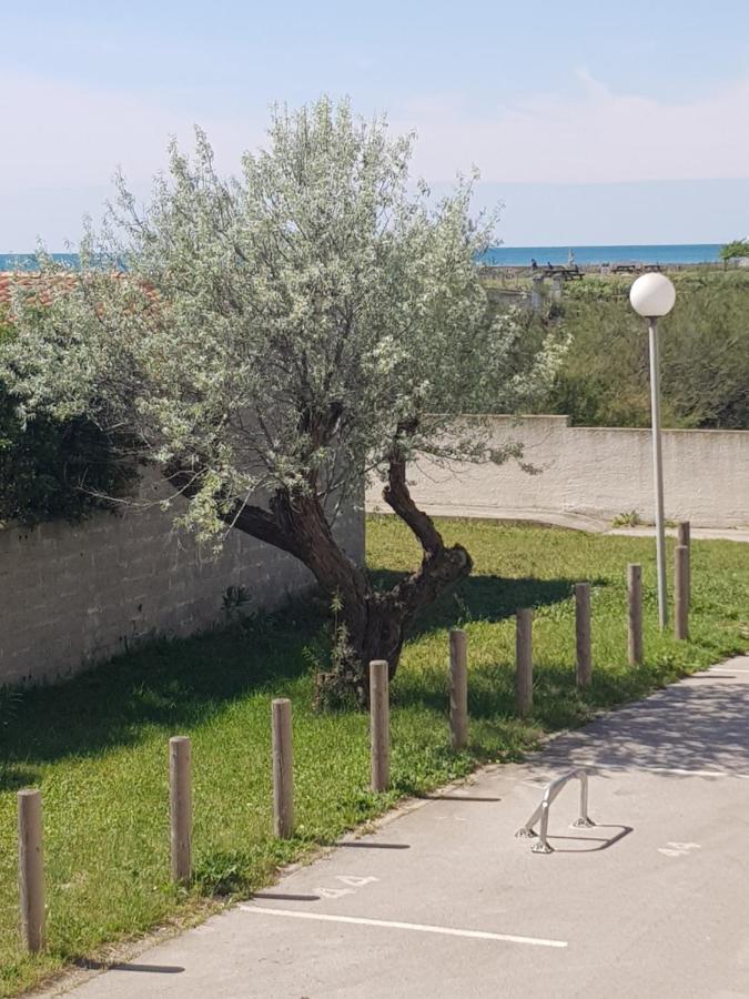 La Rose Des Sables, T2 A La Mer, Terrasse Et Garage Frontignan Luaran gambar