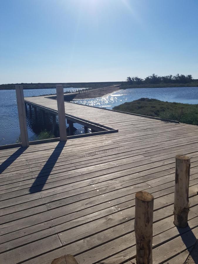 La Rose Des Sables, T2 A La Mer, Terrasse Et Garage Frontignan Luaran gambar