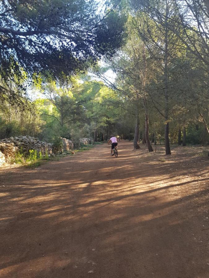 La Rose Des Sables, T2 A La Mer, Terrasse Et Garage Frontignan Luaran gambar